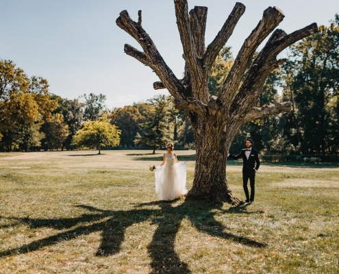 Sedinta foto de nunta la Palatul Mogosoaia